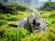 Das ist Luxus: Unter dem Himmel Afrikas - Botswana