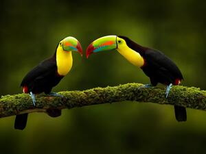 Mittelamerika | Costa Rica &amp; Panama in schönster Kombination