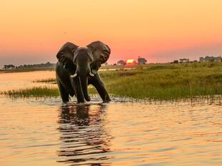 Exploring Tour Botswana &amp; Südafrika | Abenteuerlich. Exklusiv. Intensiv.