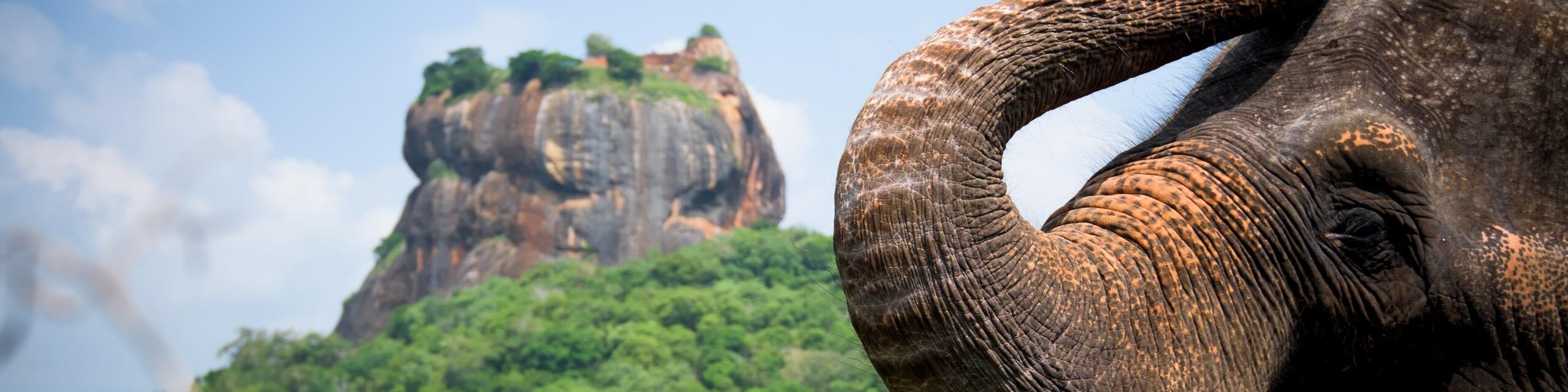 Sri Lanka | Golf & Kultur-Rundreise zwischen Fairways und Tempeln