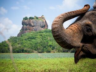 Sri Lanka | Golf &amp; Kultur-Rundreise zwischen Fairways und Tempeln