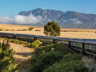 Südafrika | South African Diamonds | Rovos Rail, Safari &amp; Signature Golf